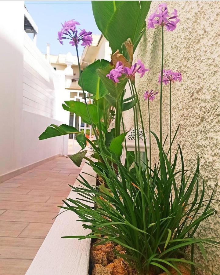B&B Suites Via Del Mare Presicce Zewnętrze zdjęcie